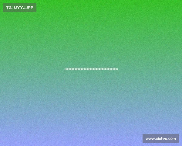 大道速滑视频比赛、大道速滑巅峰对决冰上飞驰激情燃爆全球聚焦盛宴王者争霸